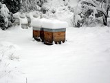 Stage apiculture préparer une ruche à l'hivernage